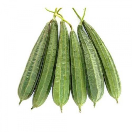 Fresh Luffa Acutangula (Turai) - Nutrient-Rich Indian Gourd | Basketor