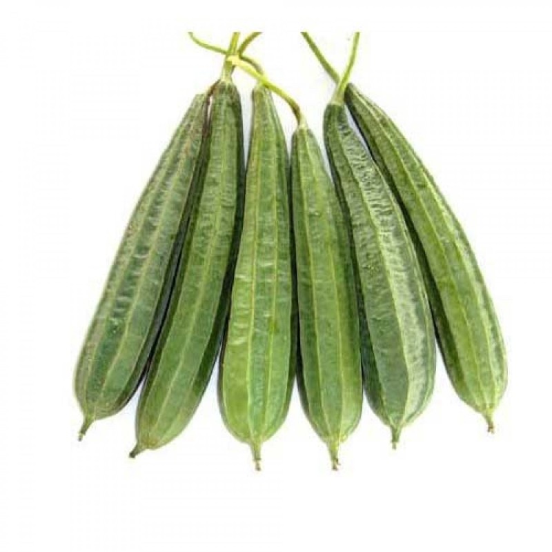 Fresh Luffa Acutangula (Turai) - Nutrient-Rich Indian Gourd | Basketor