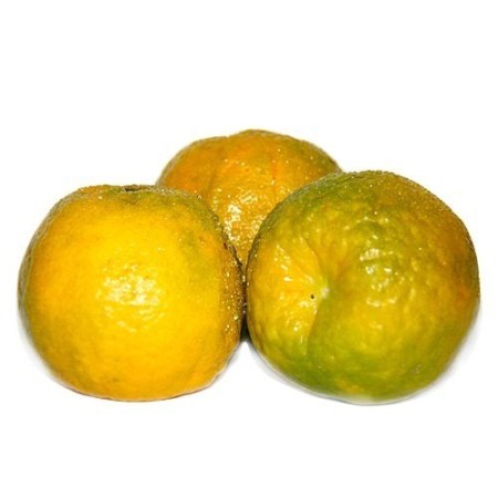 Orange Nagpur,1Kg