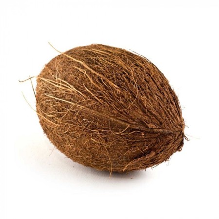 Brown Coconut,1pcs