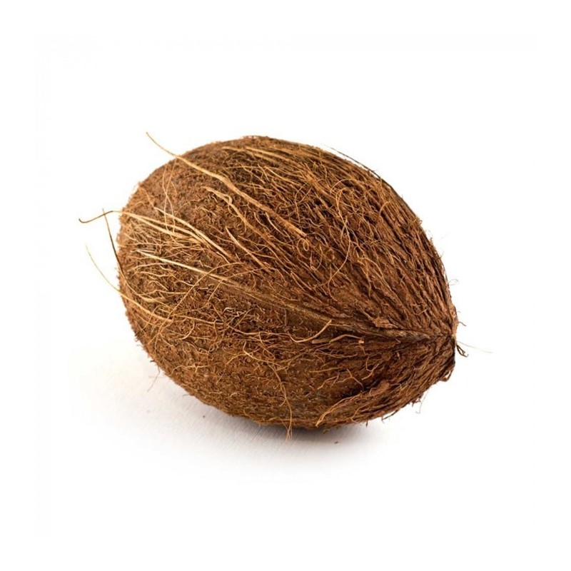 Brown Coconut,1pcs