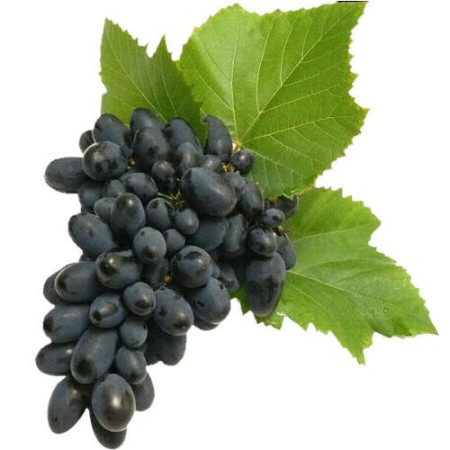 Grapes Black,450Gm