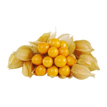 Gooseberry/Rasbhari,1kg