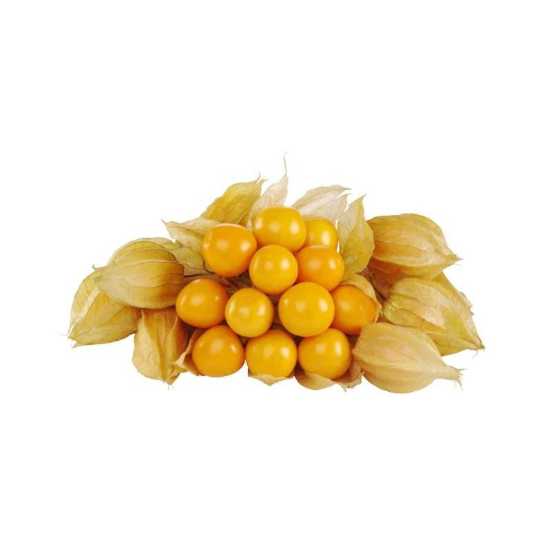 Gooseberry/Rasbhari,1kg