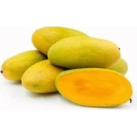 Dasheri Mango,1kg