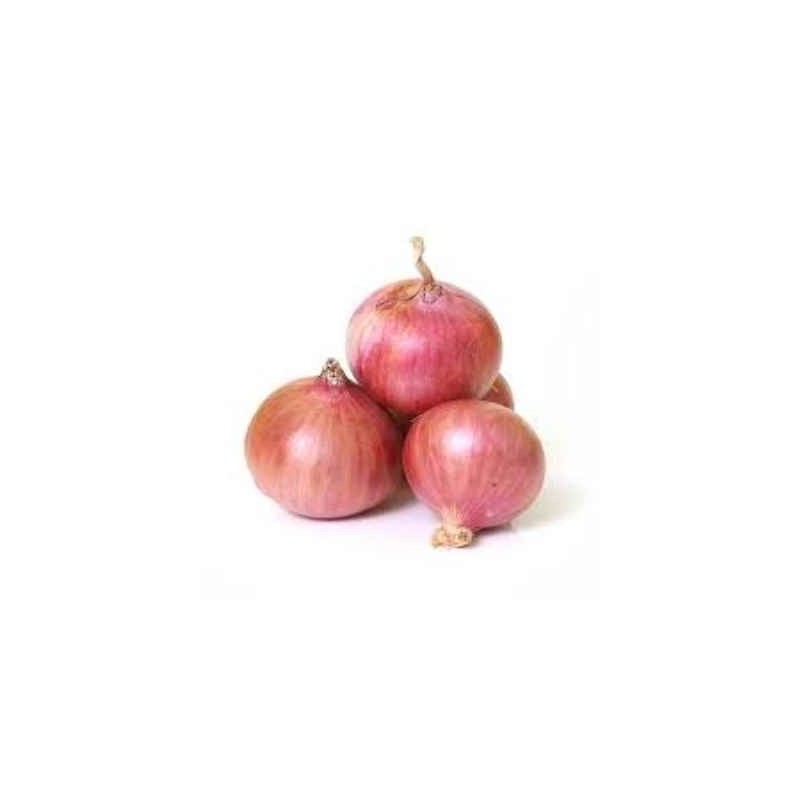 Onion,1kg