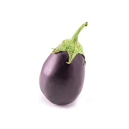 Brinjal/Baingan Big (500gm),2PCS